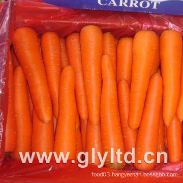 80g-150g New Crop Fresh Carrot